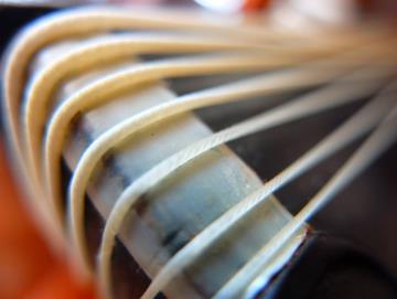 春风上巳 冰弦清音 · 素心丝弦古琴音乐会