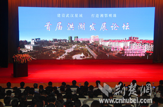 首届洪湖发展论坛召开 各地洪湖儿女组团返乡