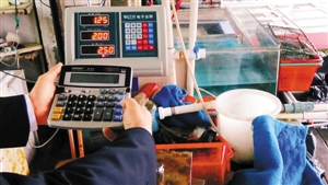 商贩用计算器控制电子秤海鲜多称半斤(图)济南
