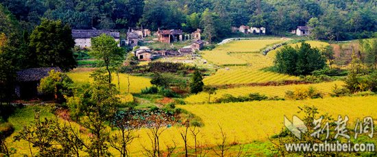 漫山花海红色历史 湖北通城黄袍名山待人识