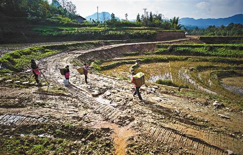 第一栋砖瓦房属于建卡贫困户