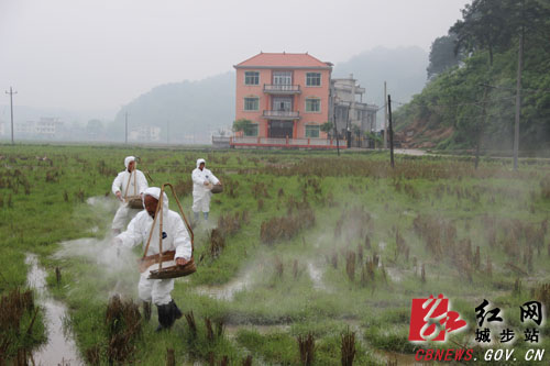 城步全面推广酸性土壤改良