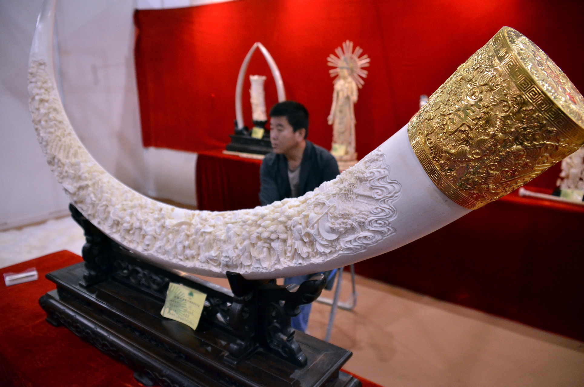 国家林业局到非洲开的宣讲会,对中企员工说了