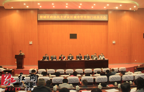 长沙望城区政协民主评议区城市管理部门