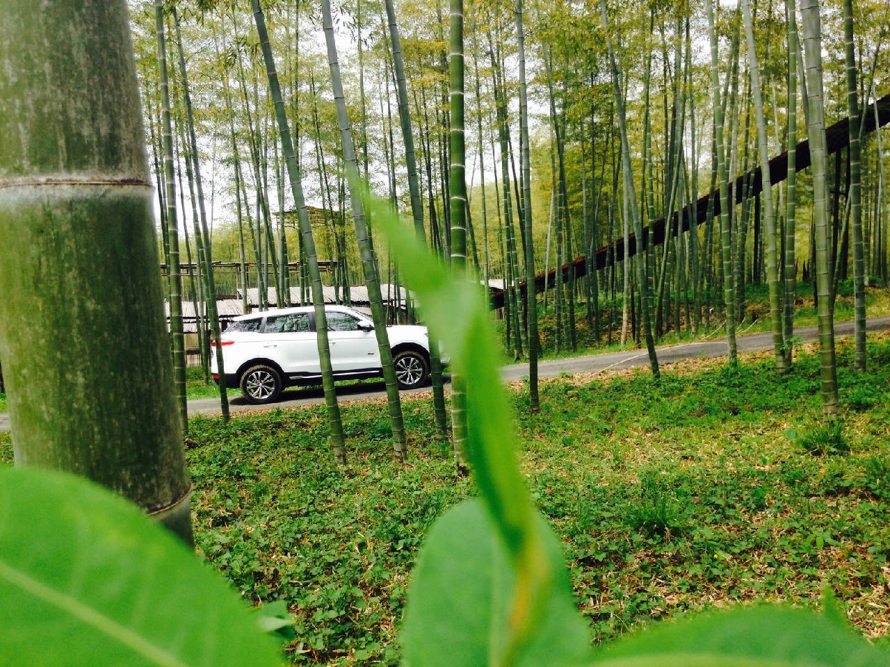 试驾|竹海与美相约,感受吉利博越