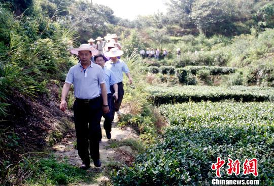 福建寿宁县委书记黄国璋看得见山望得见水留得住记忆