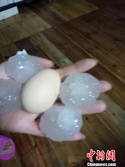 大如鸡蛋的冰雹。 杨良东 摄
