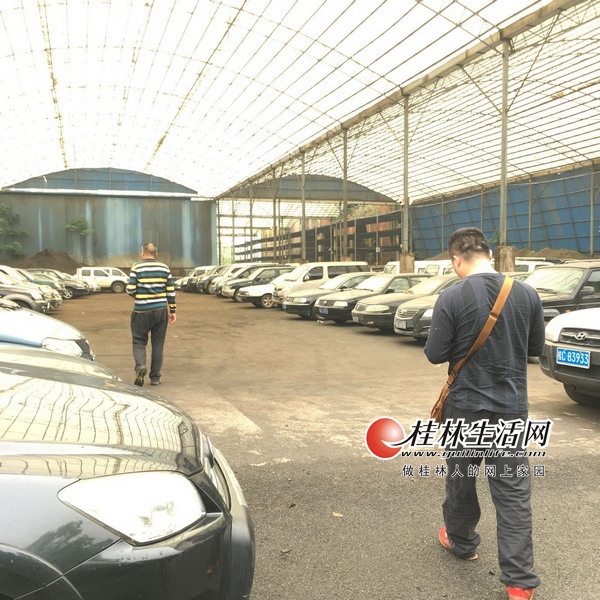 图为兴安县集中封存停放的公车