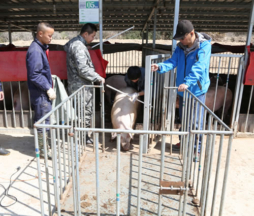 中脉道和进军国际赛车市场 布局新能源产业|新