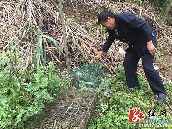 张家界严厉打击非法经营野生动物