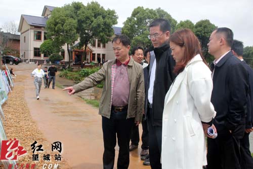 长沙望城区全力推动现代农业创新转型发展