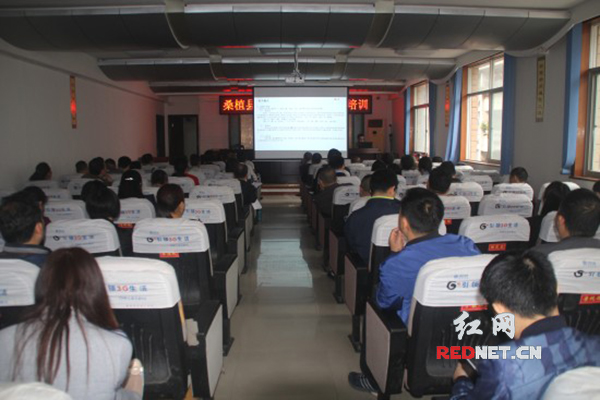 【张家界】桑植县国税局开展营改增全员业务培训