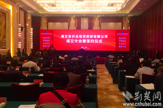 湖北成立农业信贷担保公司 助推农业发展缓解