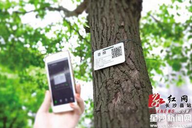 长沙县5万棵树有了身份牌 扫一扫码上知信