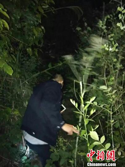 搜寻民警穿梭在深山野林中。 陈璐 摄