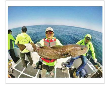 聚焦獐子岛:解读海洋可持续发展的意义