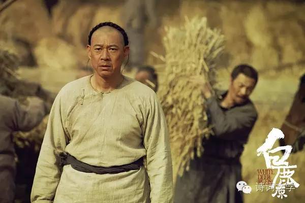 《白鹿原》经典台词,缅怀陈忠实先生