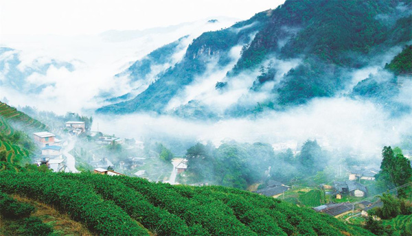 【中国传统中的家规·人文地理】冰壶清风留人