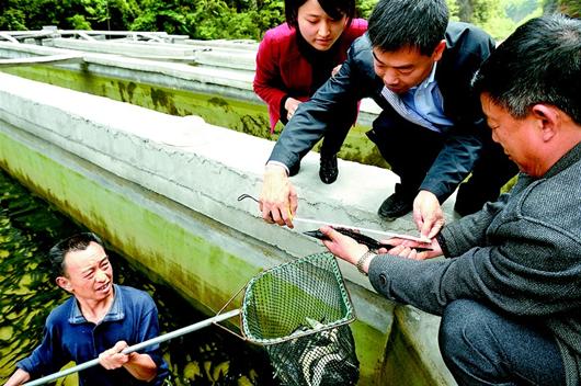 图文:养殖冷水鱼促脱贫