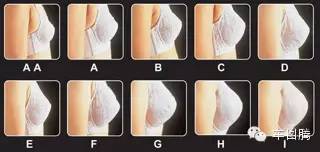 大写加粗的囧!用生理知识教女票认车标!