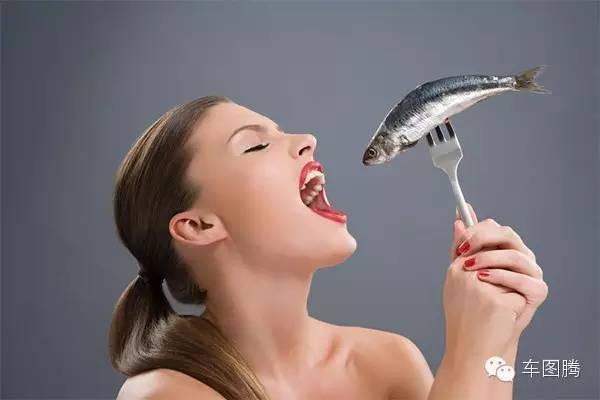 大写加粗的囧!用生理知识教女票认车标!