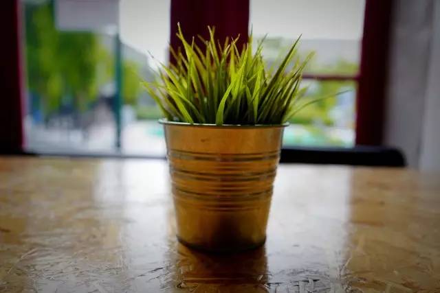 大美无疆 投资有道 2016美国巴菲特高端商务行