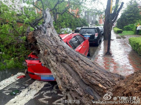 狂风骤雨袭辽宁雨量破纪录风力堪比台风 明起