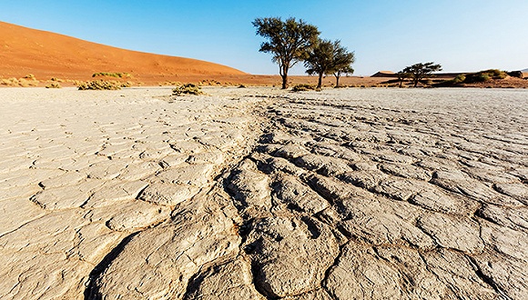 世界银行:缺水将给全球经济带来严重冲击|非洲|世界银行|水资源_新浪财经_新浪网