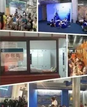 图为北京自然博物馆曝光的各种该馆发生的不文明行为...