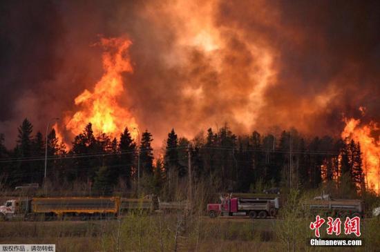 资料图片：加拿大山火蔓延，浓烟滚滚。