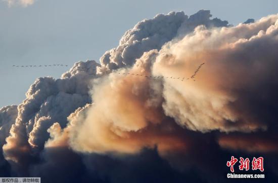 资料图片：加拿大山火持续蔓延，浓烟滚滚。