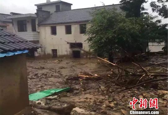 图为现场。 盛静 摄