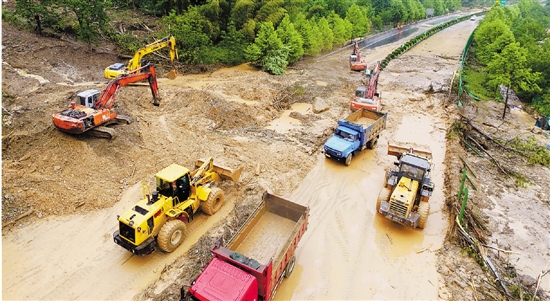 成都哪里有三唑仑片卖去哪可以买出售