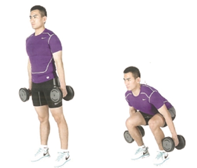 下肢肌肉力量练习简单易学