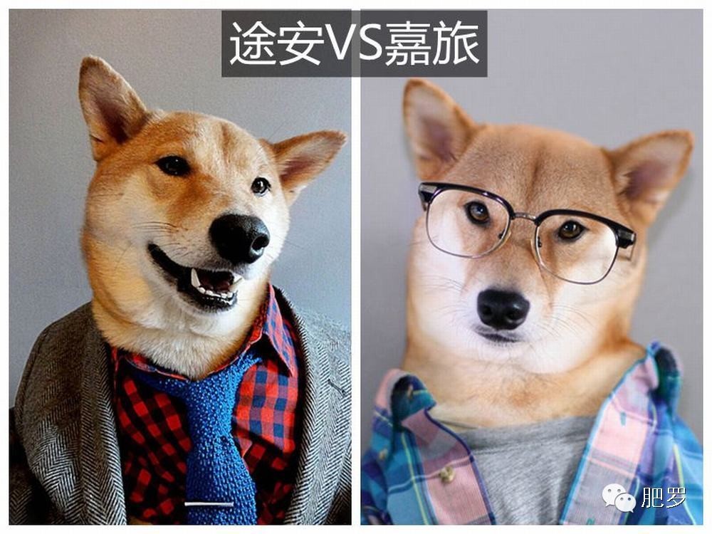 除了贵,高尔夫·嘉旅和途安L有何不同?