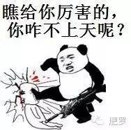 福克斯RS 只是键盘车神的网红?