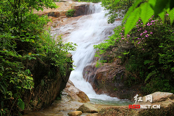 湘江绿色卫士志愿者一行走进蓝山 探访湘江源