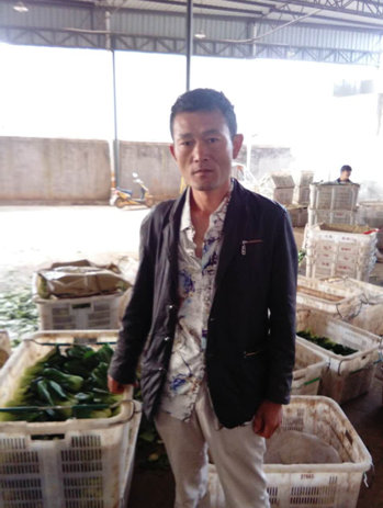 新代办利用电商一亩田,半年销售蔬菜800吨