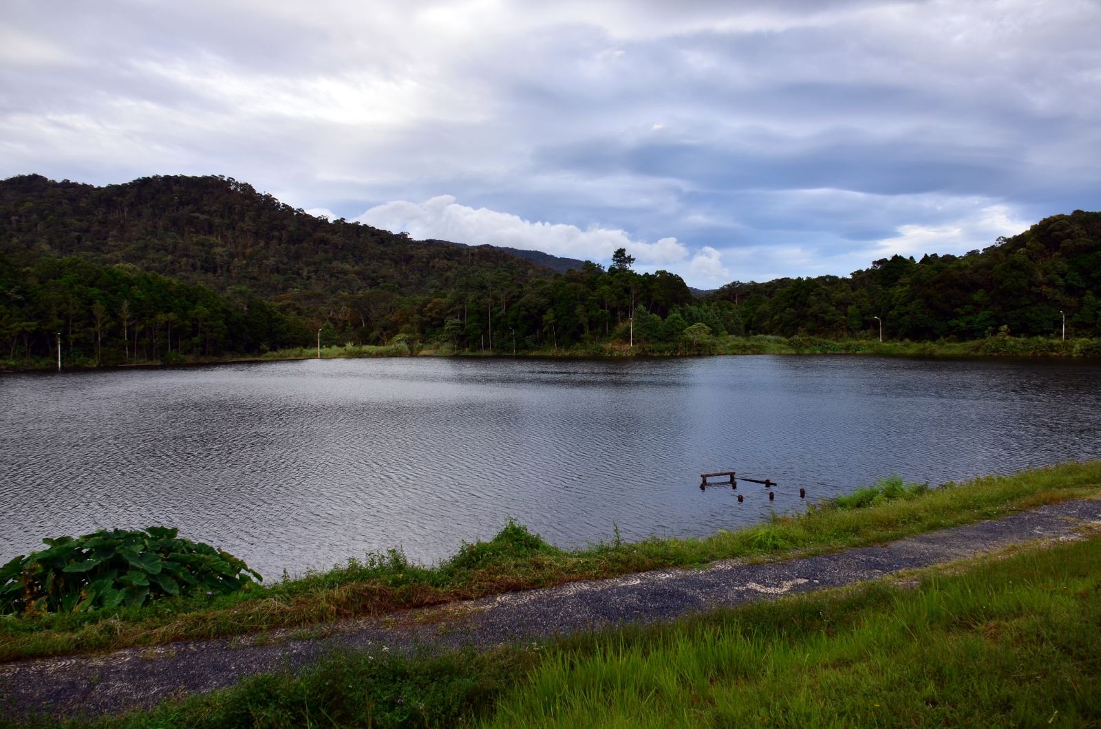 生态保护补偿机制意见出台 明确 谁受益、谁补