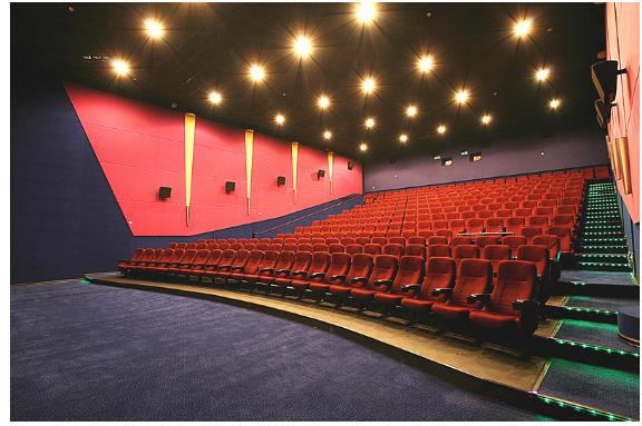 《妄想症》金逸中山小榄店 路演受追捧