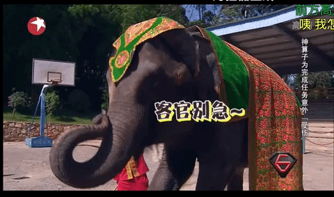 游戏截图 480_283 gif 动态图 动图