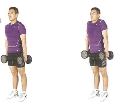 背部力量练习轻松学