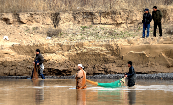 3月9日，济南，在放生点的下游100米处，村民身穿连体防水服，带着渔具站在齐腰深的黄河水中，撒网捕捞刚刚放生的鱼儿。 视觉中国供图