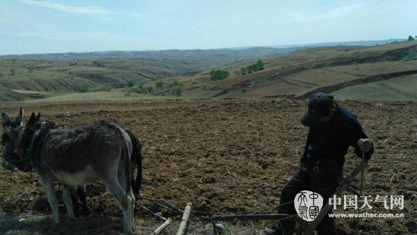 内蒙古近四成面积有旱情 未来降水利于东部旱