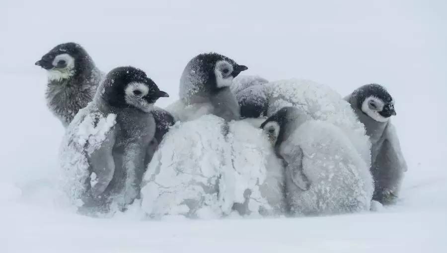 金正喷|广汽收购菲亚特还不如去研发火箭