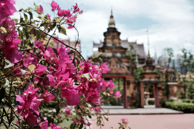 在西双版纳等风,等你来