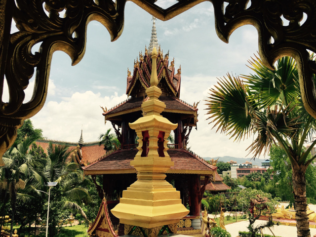 在西双版纳等风,等你来