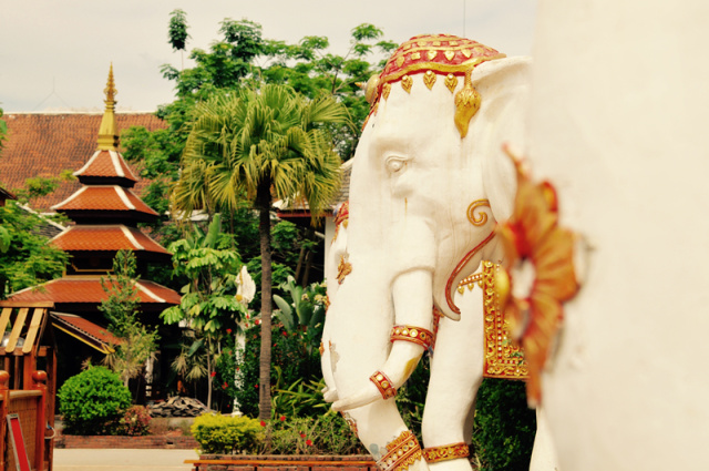 在西双版纳等风,等你来