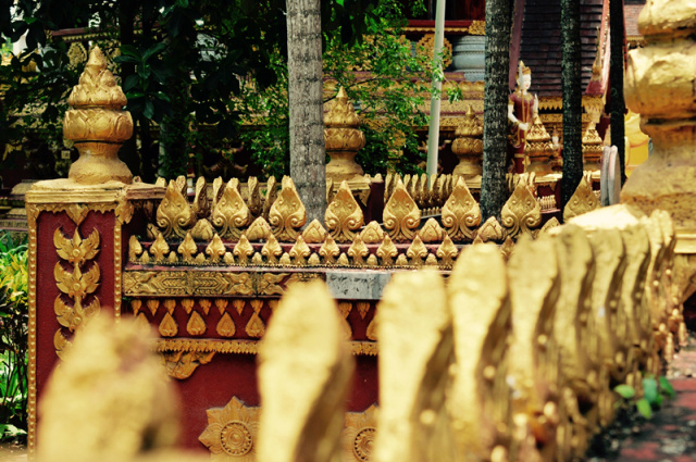 在西双版纳等风,等你来