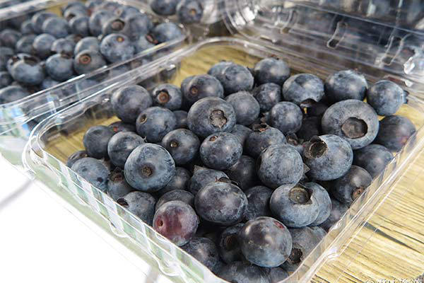 重庆4月来雨量创近13年最大值 南川蓝莓成熟推